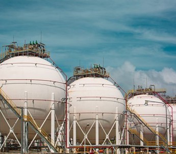 Shutterstock 2024353553