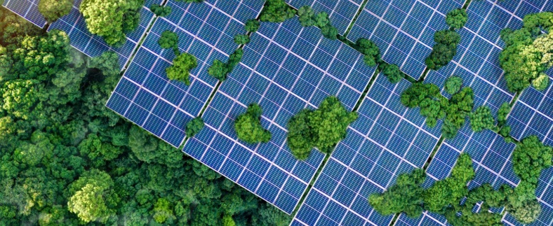 Climatetech Solar Forest Stock 793X592