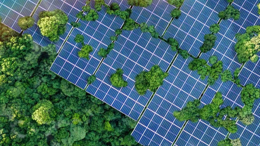 Climatetech Solar Forest Stock 793X592